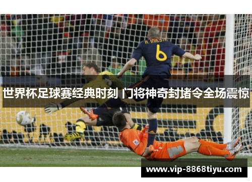 世界杯足球赛经典时刻 门将神奇封堵令全场震惊