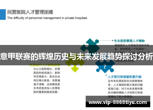 意甲联赛的辉煌历史与未来发展趋势探讨分析