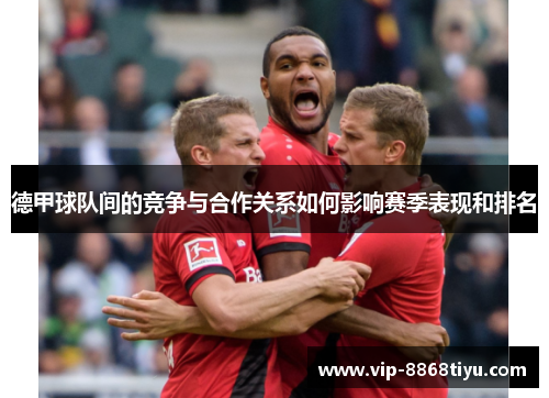 德甲球队间的竞争与合作关系如何影响赛季表现和排名