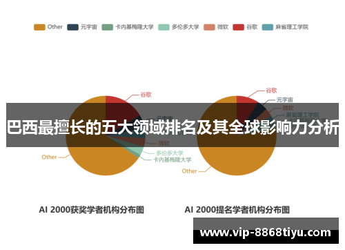 巴西最擅长的五大领域排名及其全球影响力分析