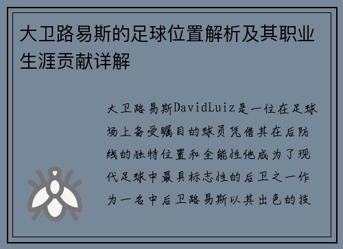 大卫路易斯的足球位置解析及其职业生涯贡献详解